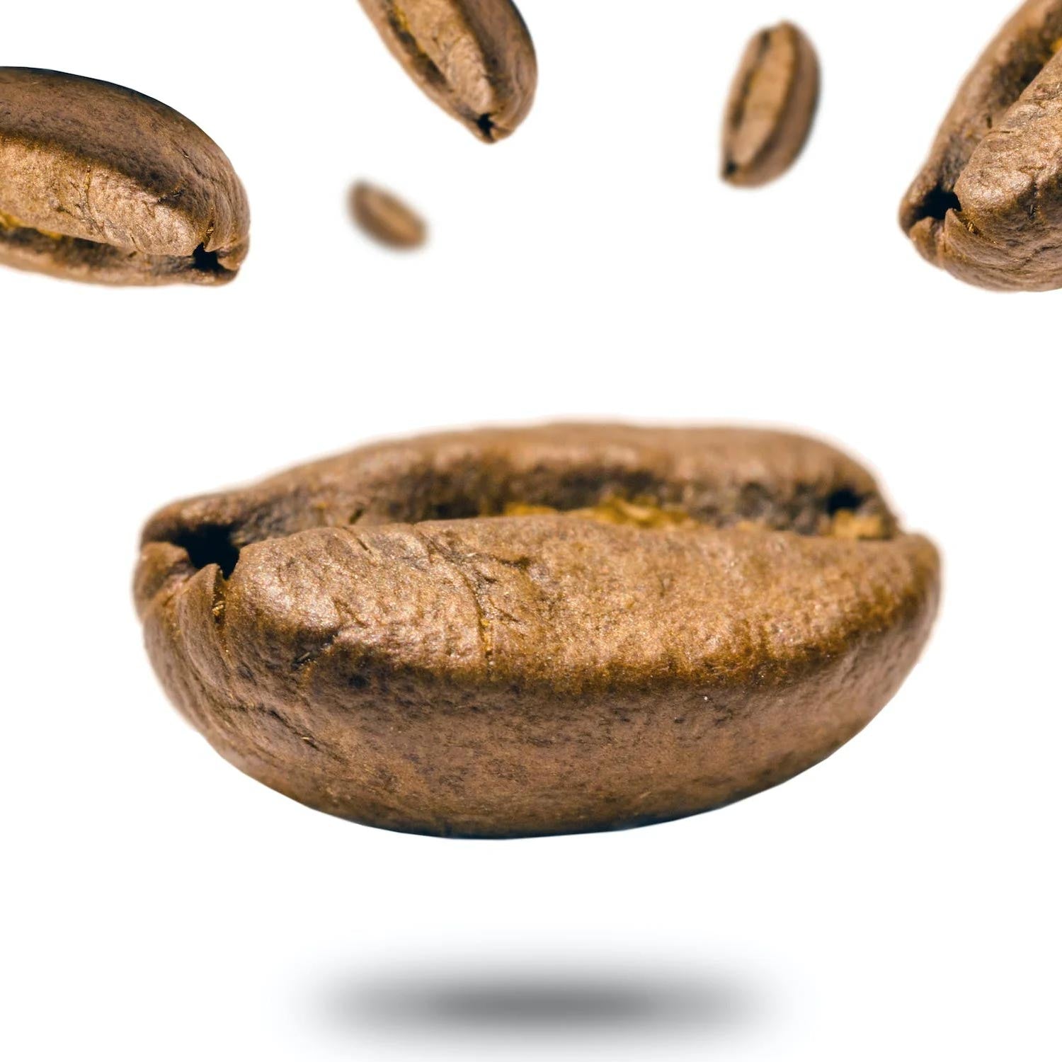 Discover the Unique Coffee Bean Flavours