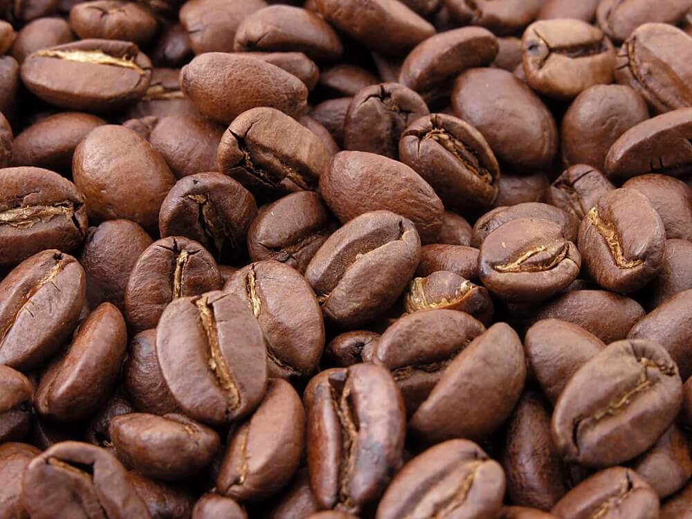King Carlos Coffee Re Firma award-winning wholesale coffee blend with Sydney Royal medals