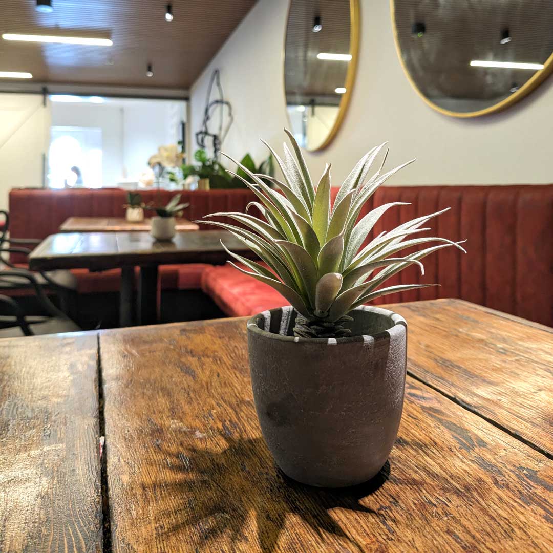 Top 10 Coffee Drinks to Try at King Carlos Kogarah