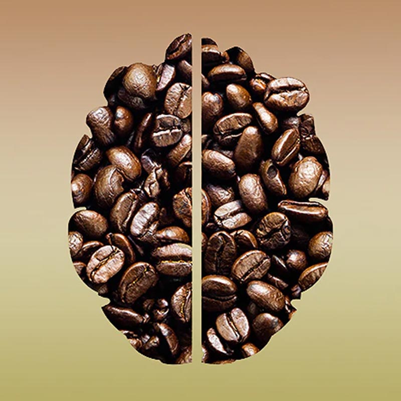 A Deep Dive into Caffeine