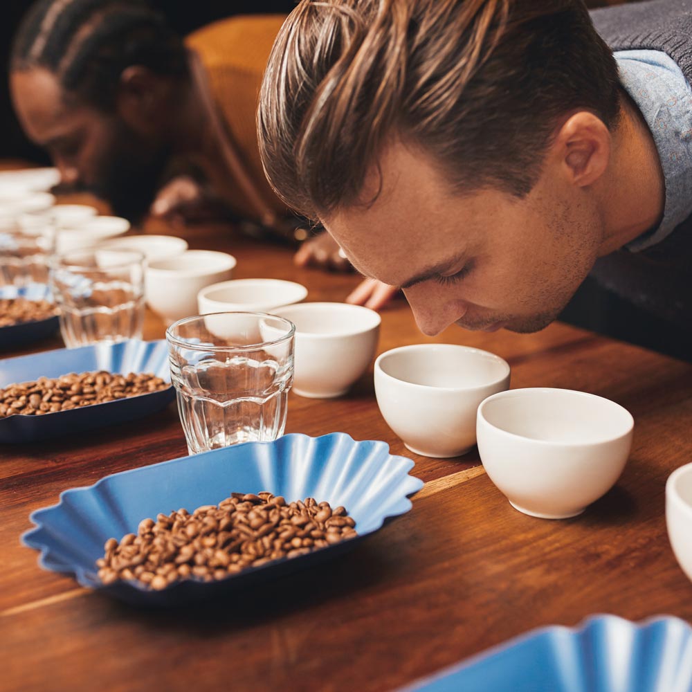 Coffee and the Senses