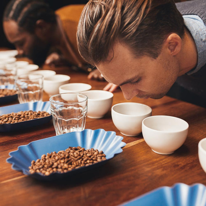 Coffee and the Senses