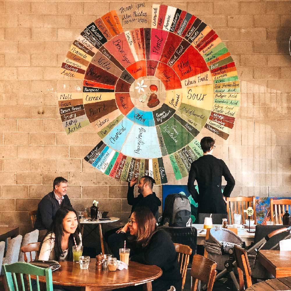 Coffee Descriptions,  The Coffee Flavour Wheel