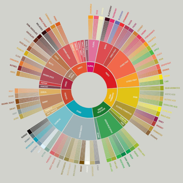 Choosing a coffee flavour for your venue