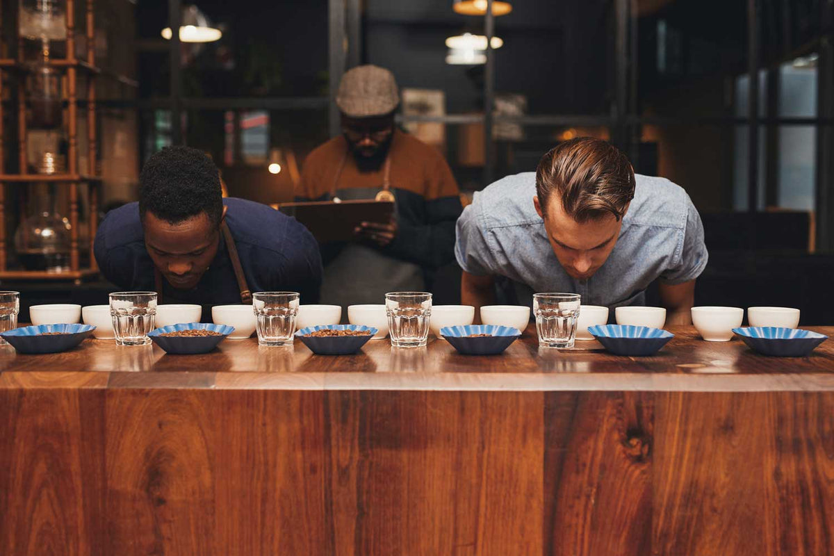 What barista training should a coffee supplier include?