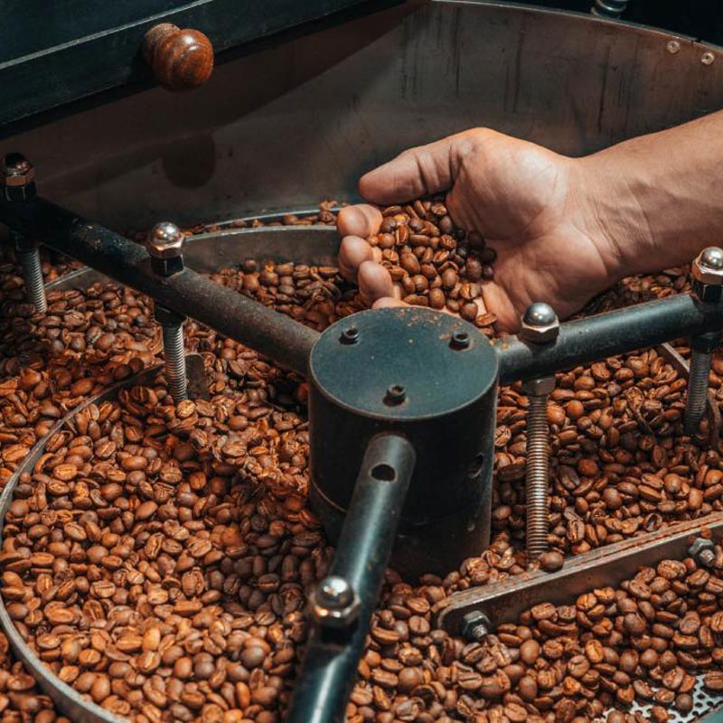 Coffee Roasting 101: Roast Levels