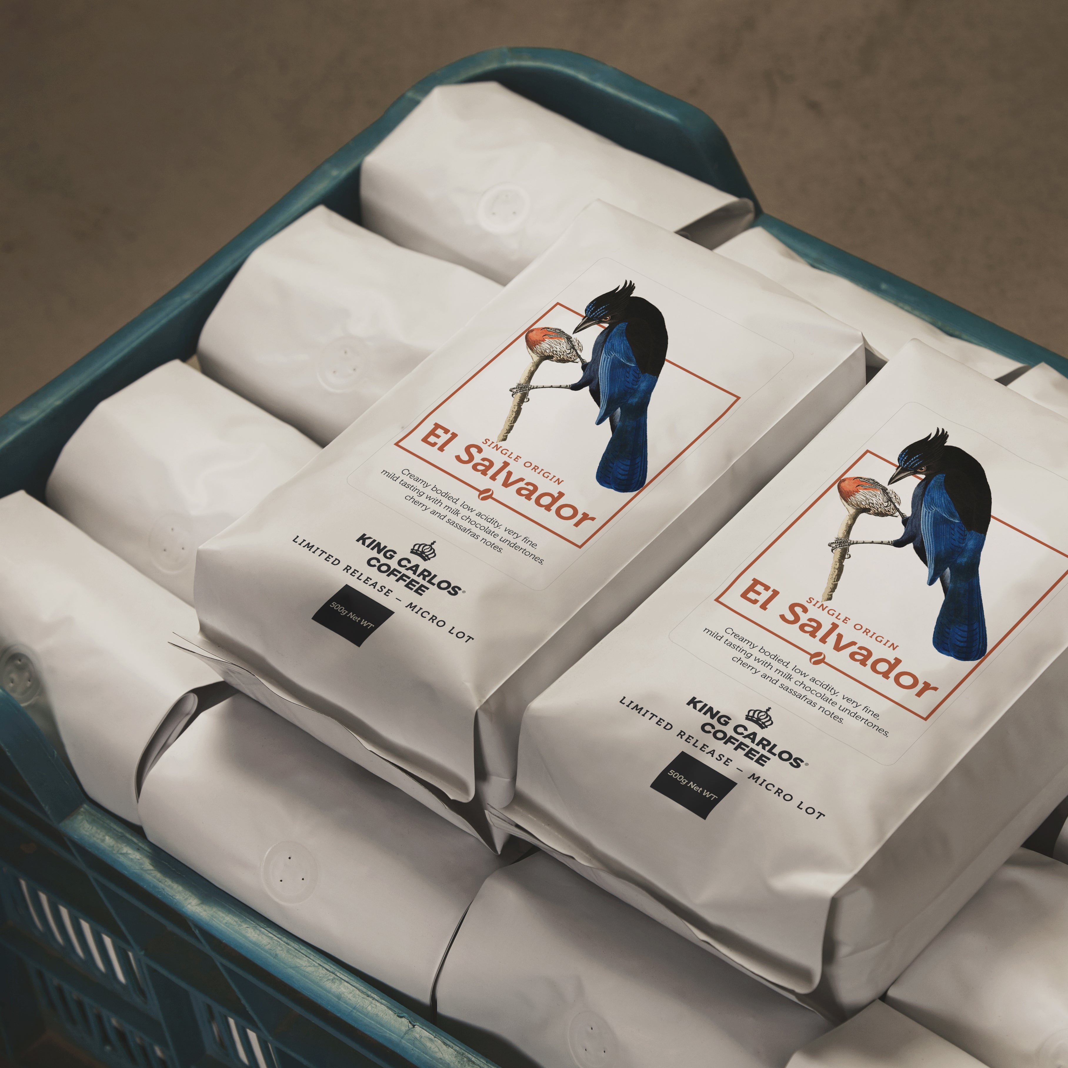 el salvador coffee beans buy now