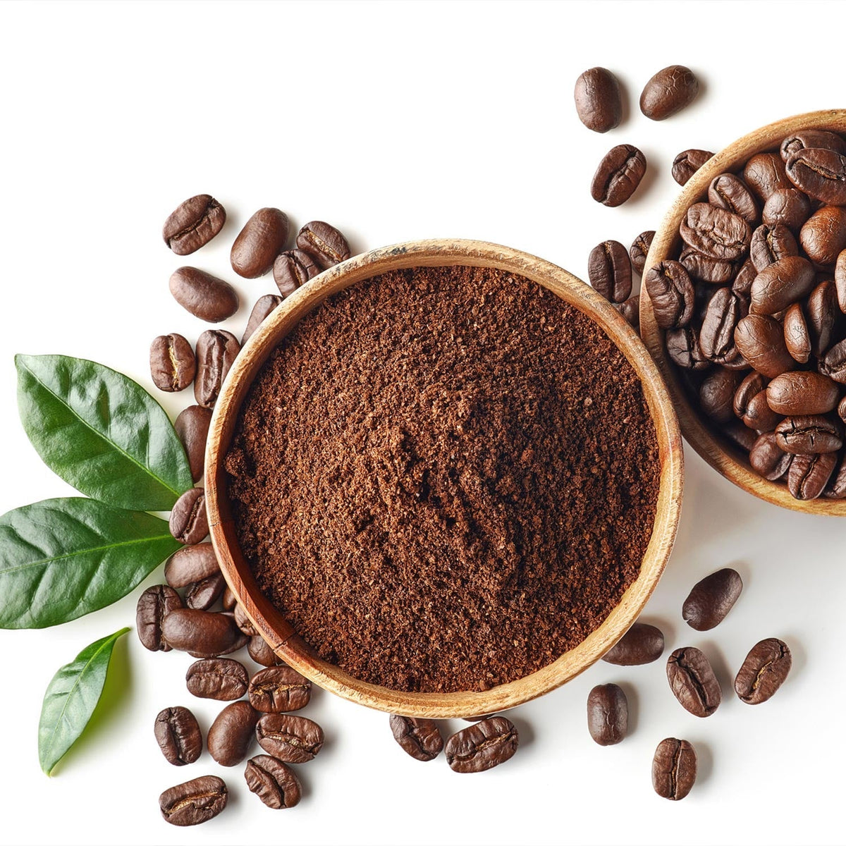 Sustainable ethical coffee farmed by King Carlos Coffee