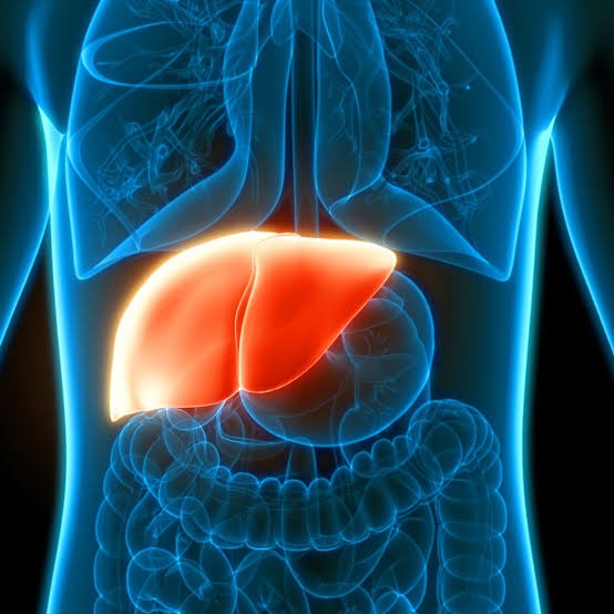 Is coffee good for your liver? The 355,000-person study, and why decaf counts