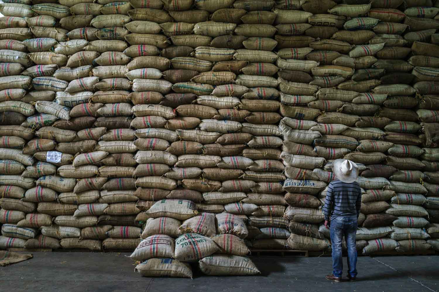 Wholesale coffee for multi-site groups