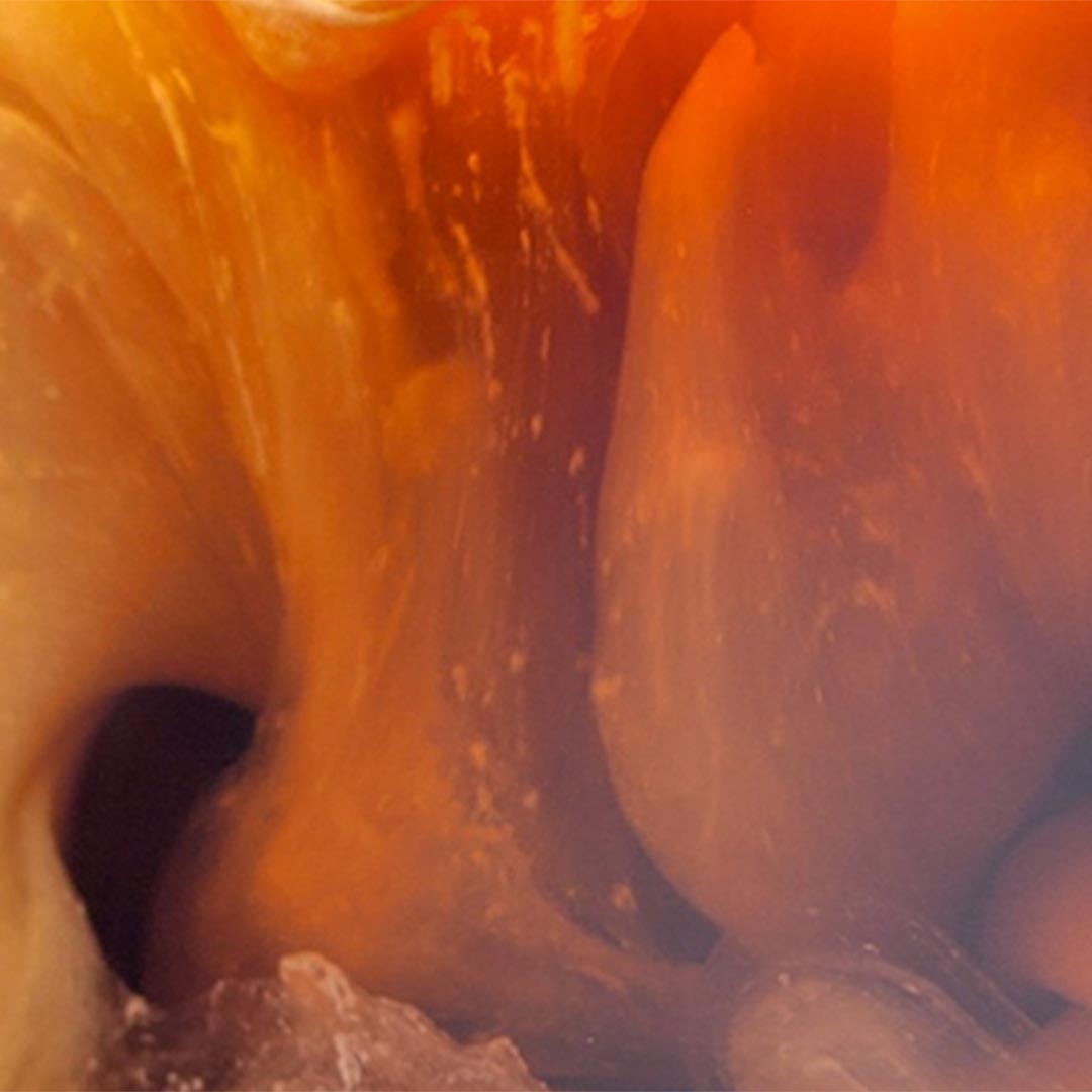 How the World Came to RUN on Coffee