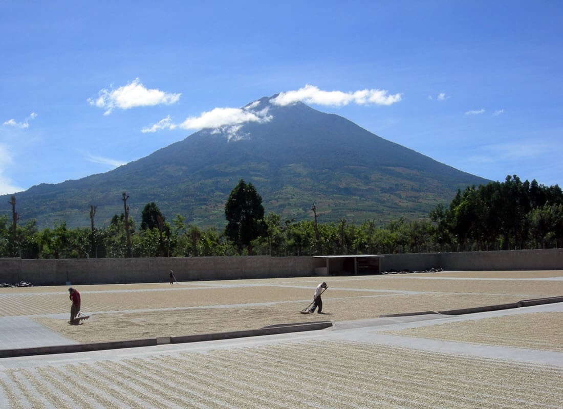 GUATEMALA LAS AMAPOLAS
