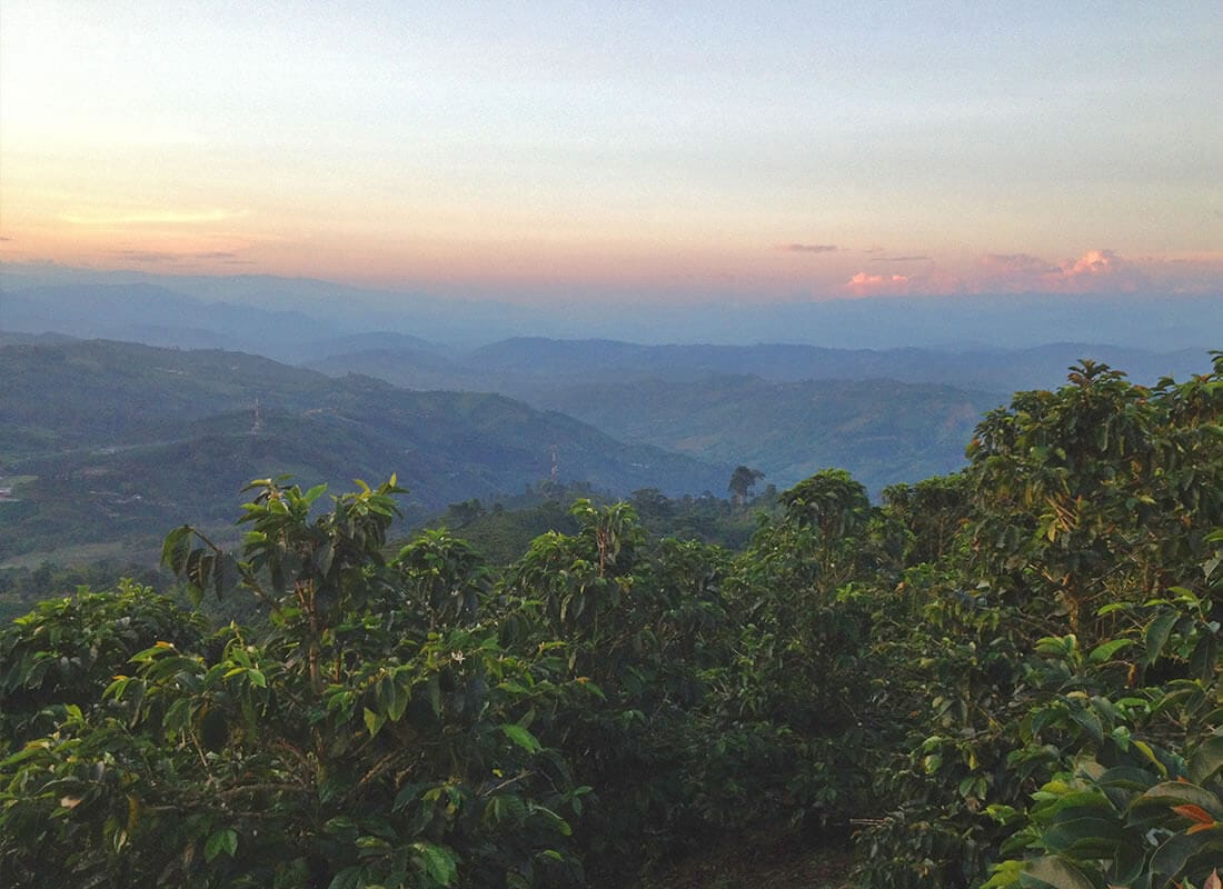 COLOMBIA WASHED MANIZALES