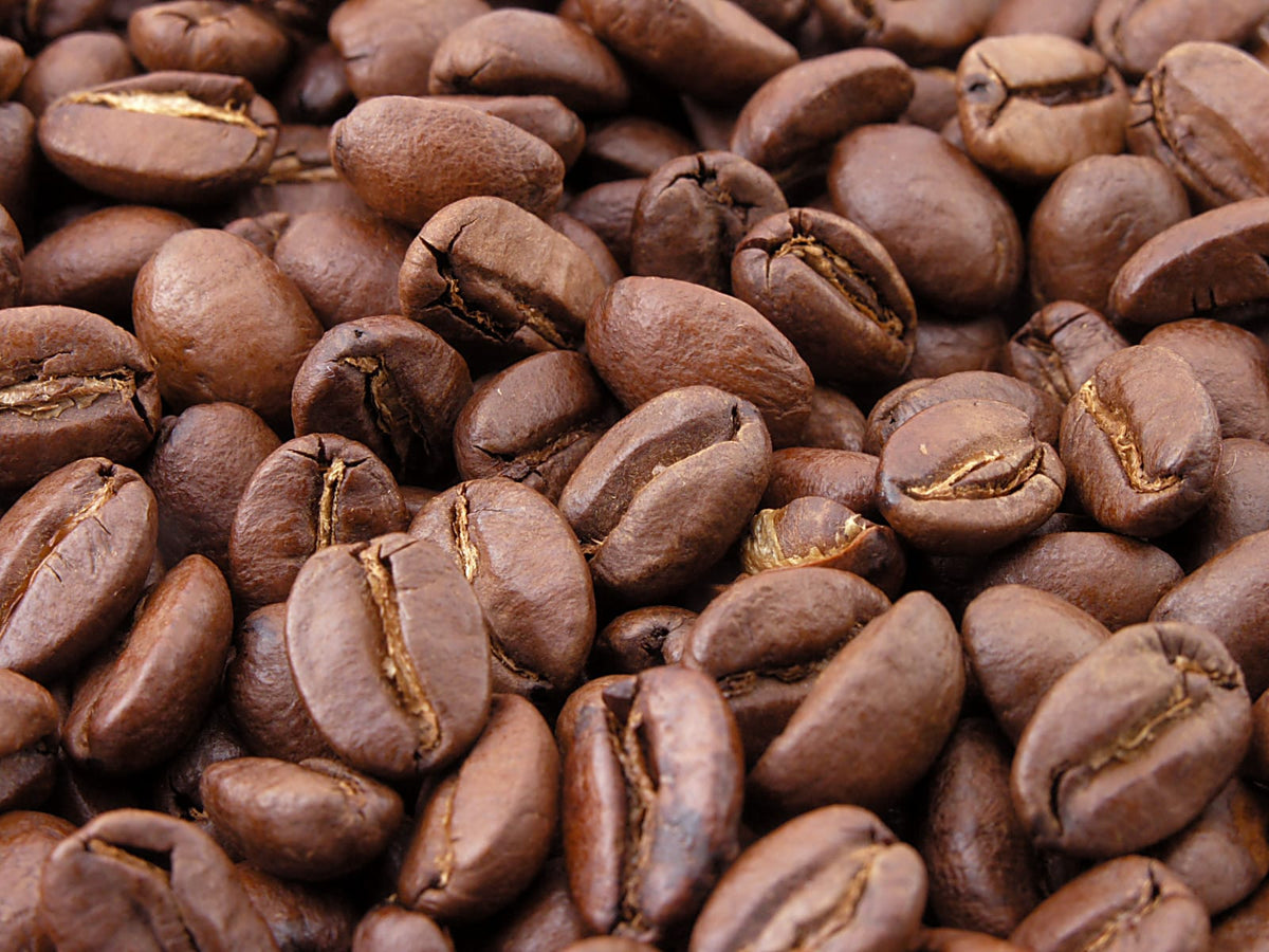 King Carlos Coffee Re Firma award-winning wholesale coffee blend with Sydney Royal medals