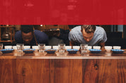 King Carlos Coffee Sample Blend Wholesale Sample wholesale blends | King Carlos Coffee