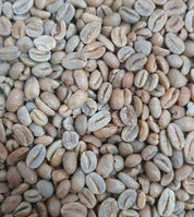 colombia geisha green beans