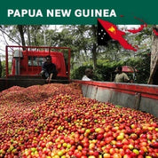 PAPUA NEW GUINEA SIGRI PLANTATION