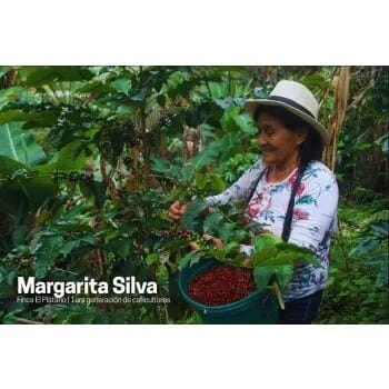 PERU WASHED CAJAMARACA