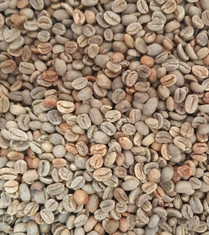 santa monica colombia single prigin green beans