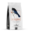 buy coffee beans El Salvador single origin coffee
