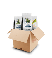King Carlos Coffee 'ORIGINS OF THE WORLD' COFFEE PACK Coffee Delivered to Your Door  | Award Winning