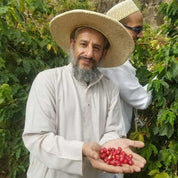 purchase yemen coffee online king carlos coffee